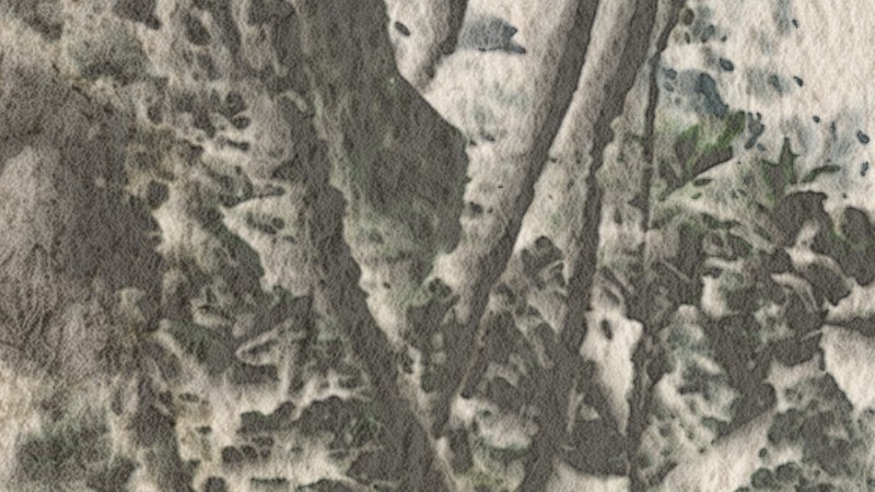 The same spot, 1:1: first with the normal settings, then with stronger blooms (more wet-to-dry push, uneven sizing): the washes spread, with paler centres and ragged rims.