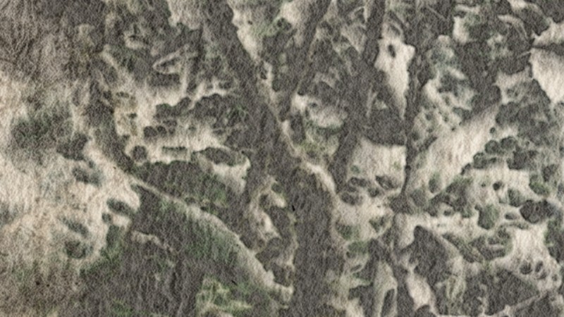 Granulation, 1:1: pigment collected in the valleys of the paper.