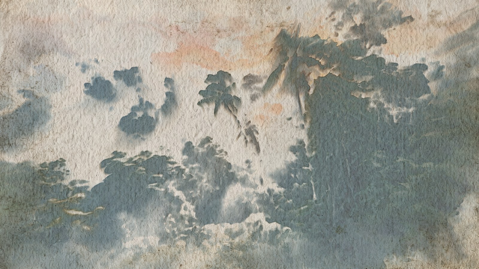 The debug views: painting, mobile pigment, settled pigment, water, paper.